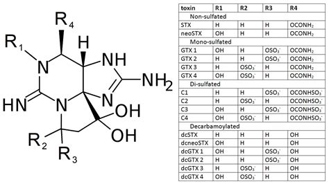 saxitoxins pdf